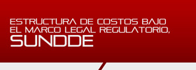 Estructura de Costos bajo el marco legal Regulatorio, SUNDDE