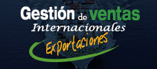 Gestión de ventas internacionales EXPORTACIONES (Aprende a Exportar y podrás administrar tu 80% de las DIVISAS generadas)  ONLINE