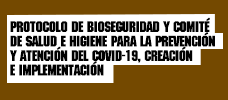 Protocolo De Bioseguridad Y Comité De Salud E Higiene Para La Prevención Y Atención Del Covid-19, Creación E Implementación  ONLINE