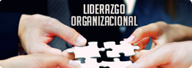 Liderazgo Organizacional 